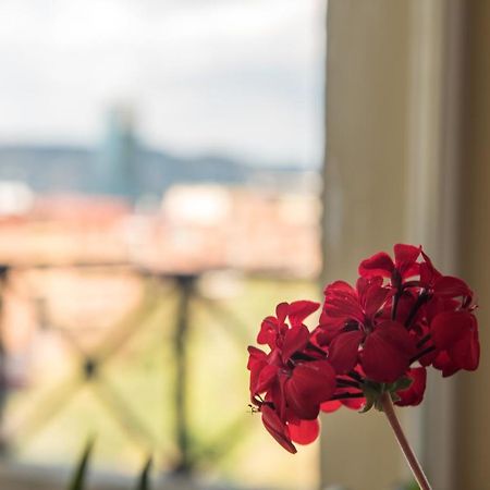Terrace House Tbilisi Hotel Ngoại thất bức ảnh